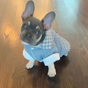 Dog sweater XS toy size baby blue